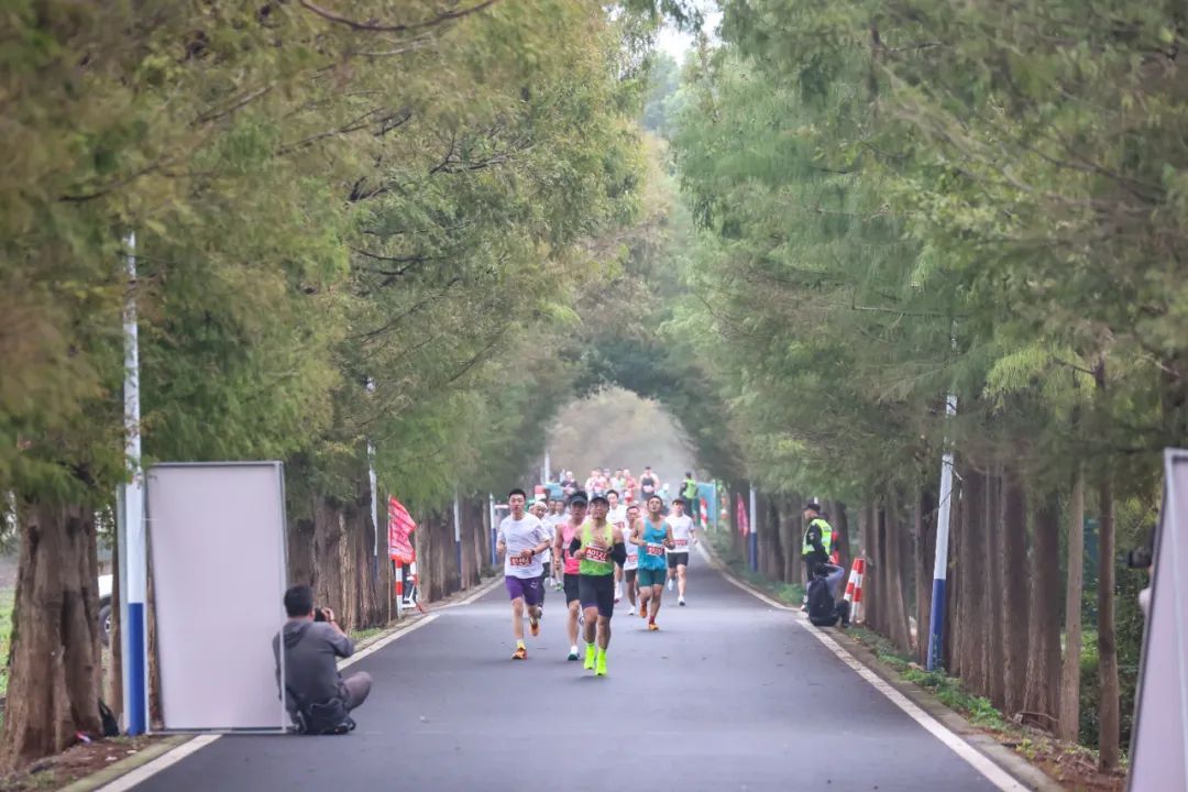 关于乡村迷你马拉松，体验纯朴乡村风光的信息
