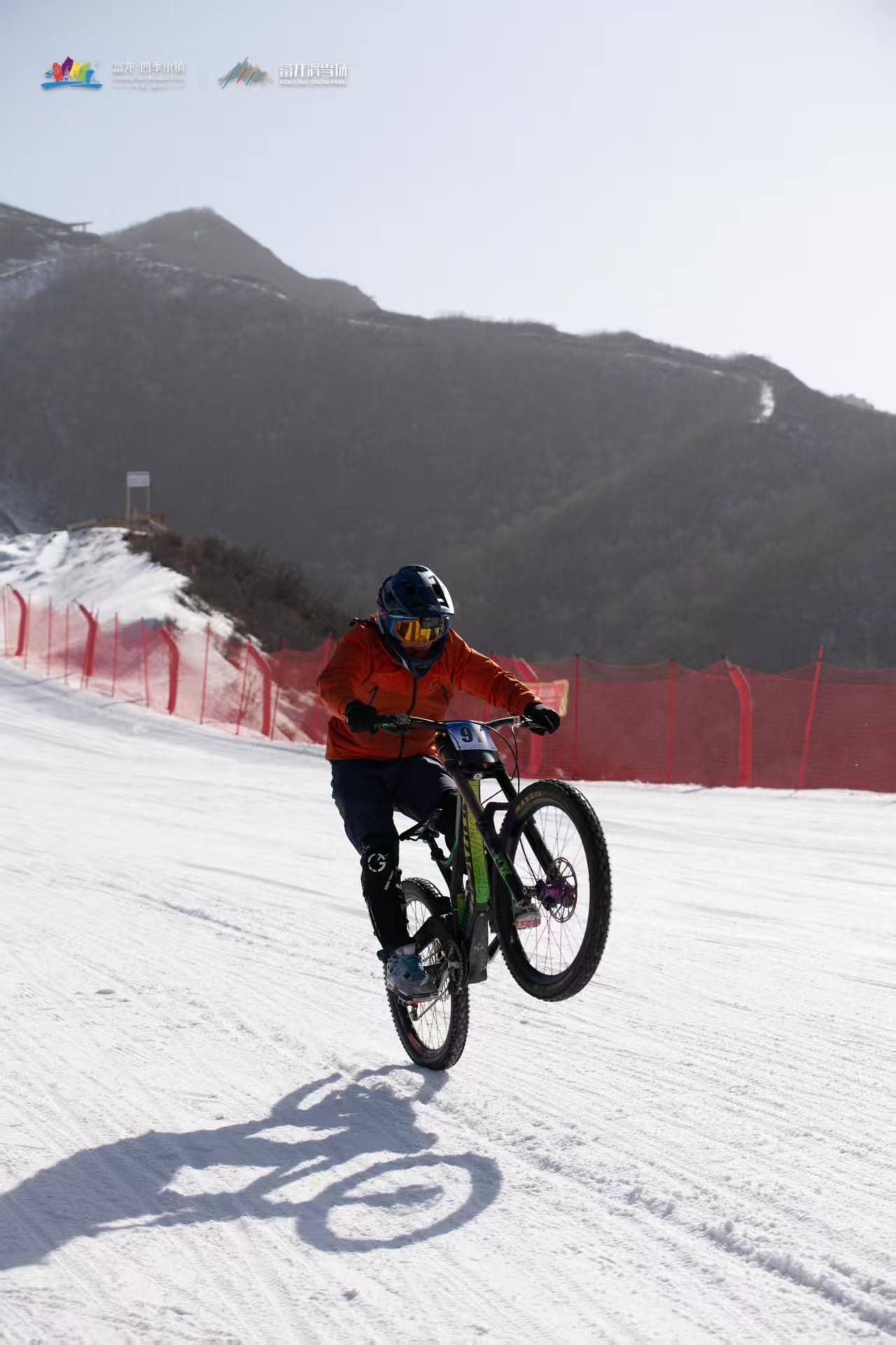关于国际自由式滑雪大奖赛，雪地上的极速飞翔的信息