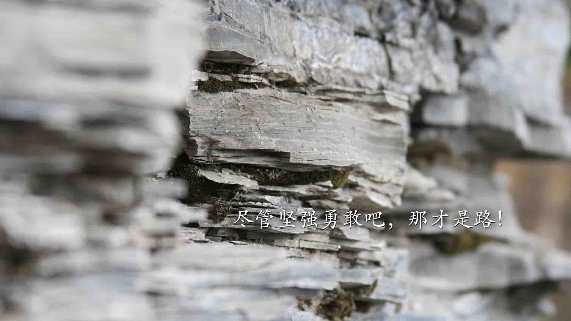 新建球场背后的秘密：投资与未来规划，新建足球场