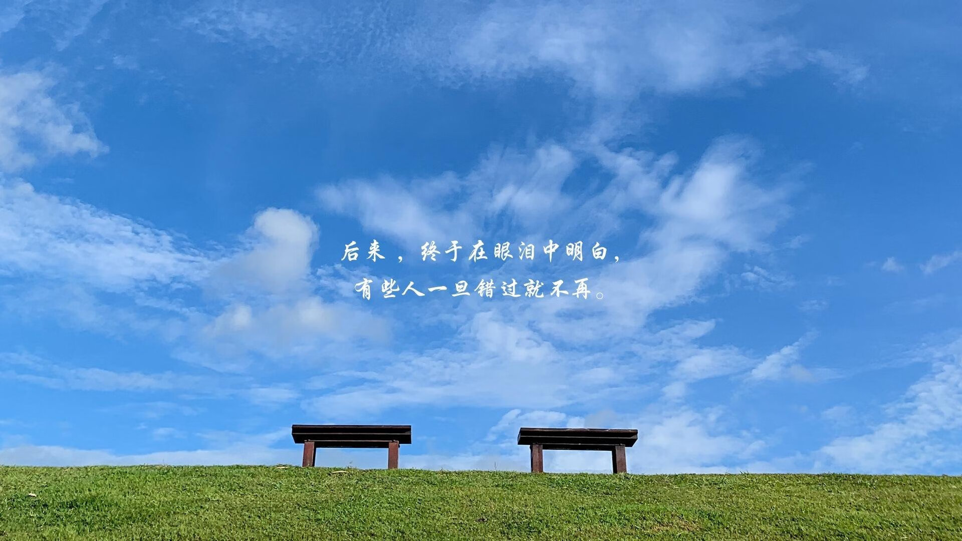 欧洲巨星篮球夏季巡回赛激情开幕，球迷沸腾，欧洲篮球联赛巨星