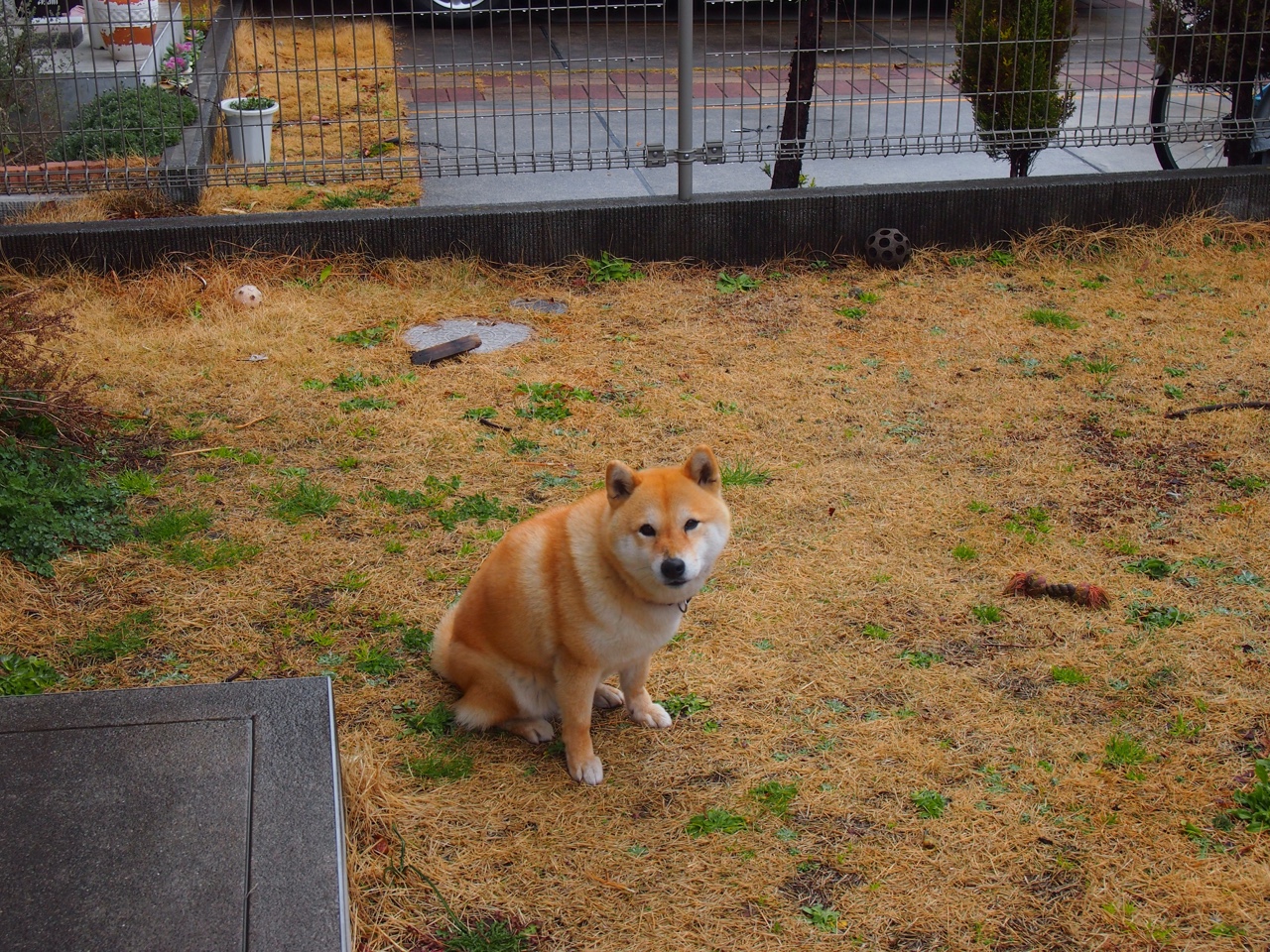 LEYU乐鱼体育官方网站-国足集中训练强化配合默契提升整体作战能力，国足训练视频集锦