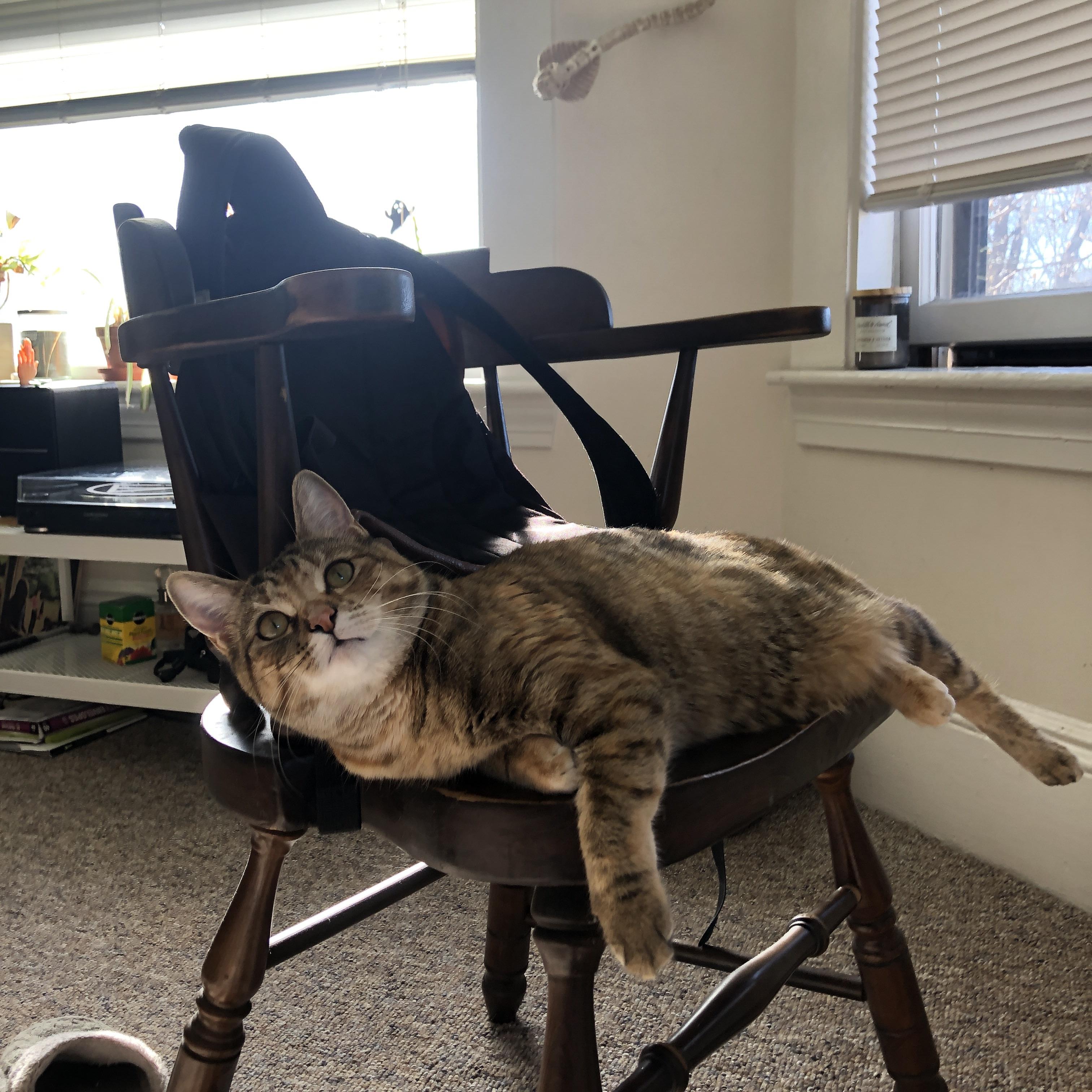 多国家协作打造国际足球创新联盟,推动全球体育科技合作,国际足联合作伙伴