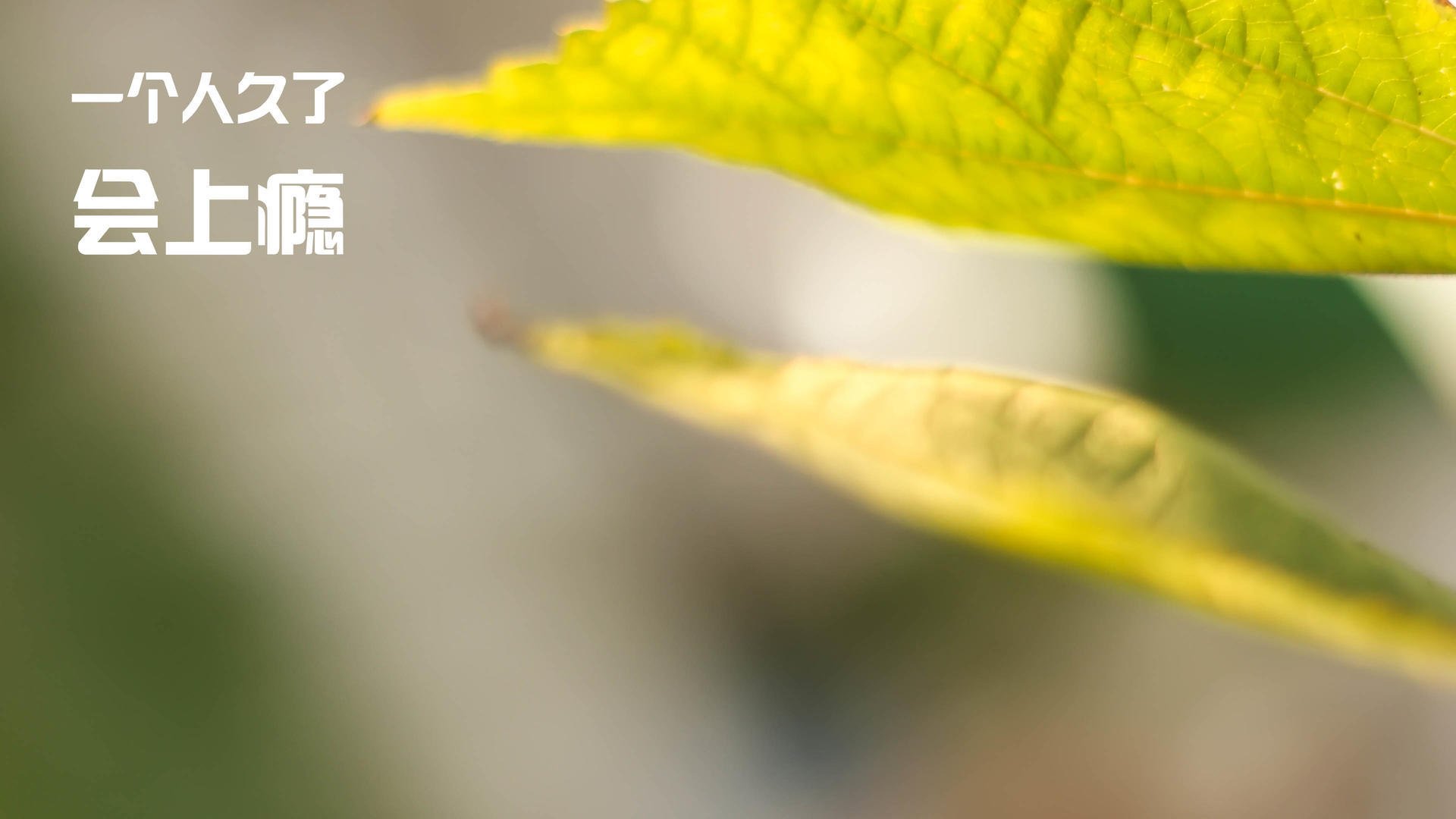 leyu.com-曼联在关键比赛中逆转获胜，追赶领先队伍