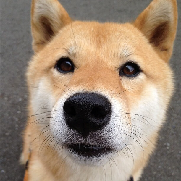 乐鱼电竞在线平台登录入口-线上足球文化社区活跃度持续提升，推动体育文化广泛普及，足球 社区