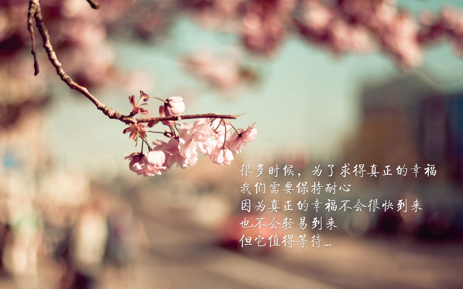 英超豪门的新媒体球迷互动平台，英超豪门的新媒体球迷互动平台有哪些